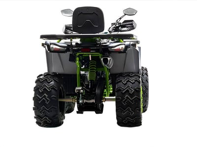 Квадроцикл MOTOLAND 200 WILD TRACK X WINCH