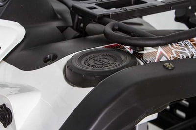 Квадроцикл BALTMOTORS Striker 700 EFI (ПСМ)