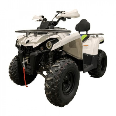 Квадроцикл MOTOLAND SHARK 200