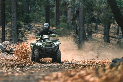Квадроцикл KAWASAKI Brute Force 750 LE EPS (2024) (ПСМ)