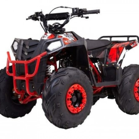 Квадроцикл RAPTOR DUX 8