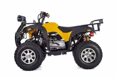 Квадроцикл RAPTOR MAX PRO 250 (жёлтый/чёрный)