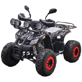 Квадроцикл BISON KIDS 125 LD
