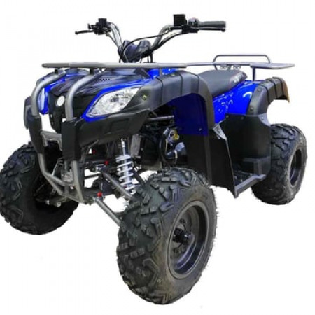 Квадроцикл MOTAX ATV Grizlik 200