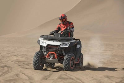 Квадроцикл SEGWAY Snarler AT6 LX (ПСМ)