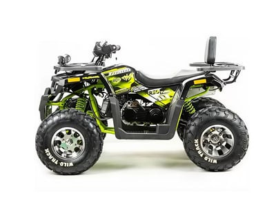 Квадроцикл MOTOLAND 200 WILD TRACK PRO