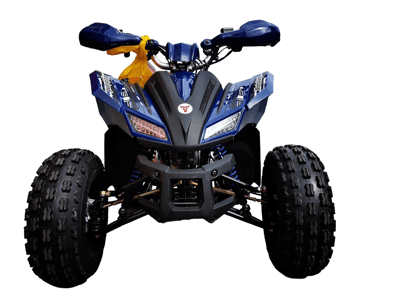 Квадроцикл MOTOLAND 125 COYOTE PRO