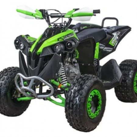 Квадроцикл YACOTA RENEGADE