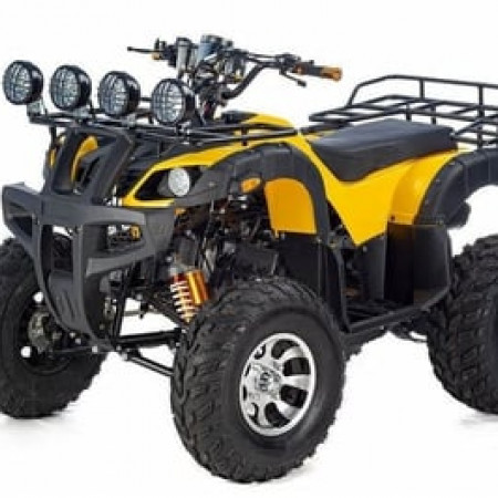 Квадроцикл RAPTOR MAX PRO 250 (жёлтый/чёрный)