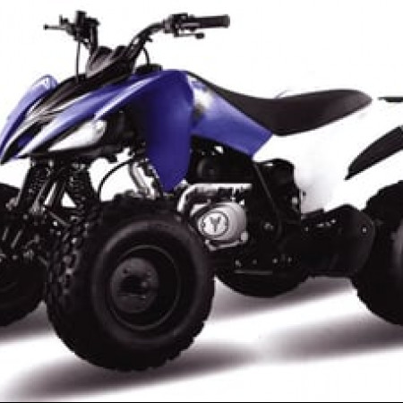 Квадроцикл MOTOLAND 150S