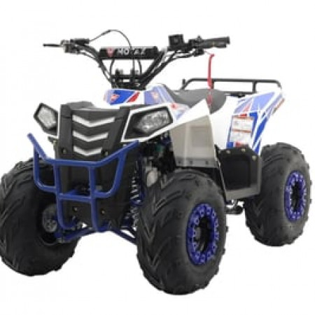 Квадроцикл MOTAX Grizlik A110