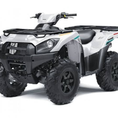 Квадроцикл KAWASAKI Brute Force 750 4x4i EPS (2023) (ПСМ)