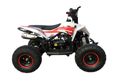 Квадроцикл MOTAX GEKKON 90cc