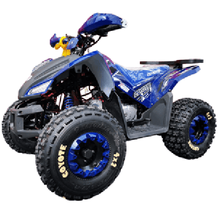 Квадроцикл MOTOLAND 125 COYOTE PRO
