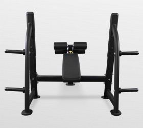Скамья для жима с отрицательным наклоном Bronze Gym BR-1013