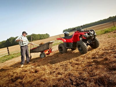Квадроцикл YAMAHA SEGWAY 300