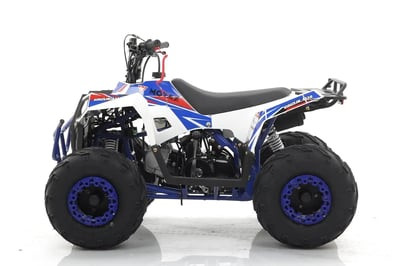 Квадроцикл MOTAX Grizlik A110