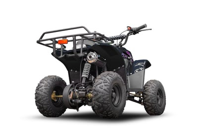 Квадроцикл RAPTOR 150 Universal