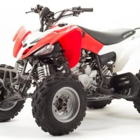 Квадроцикл MOTOLAND 125S (2020 Г.)