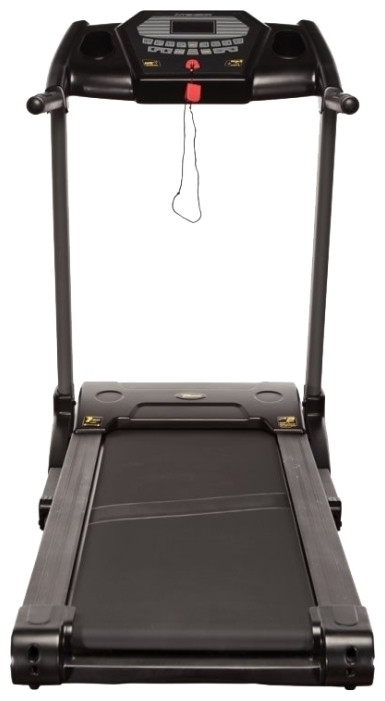 Intensor T300