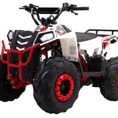 Квадроцикл WELS THUNDER EVO M детский