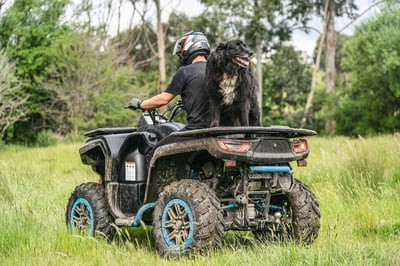 Квадроцикл SEGWAY Snarler AT6 SX (ПСМ)