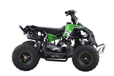 Квадроцикл YACOTA RENEGADE MINI