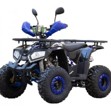 Квадроцикл UNIVERSAL ATV 125 TM Fusion plus
