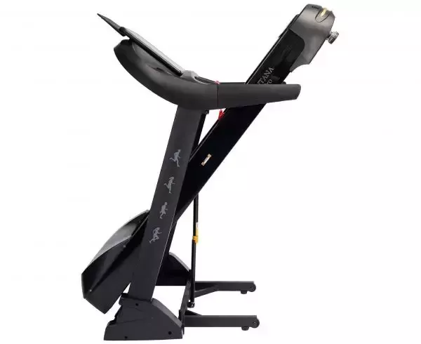 Беговая дорожка DFC Santanan Pro T757