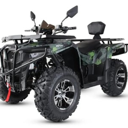 Квадроцикл MOTAX Grizlik 300